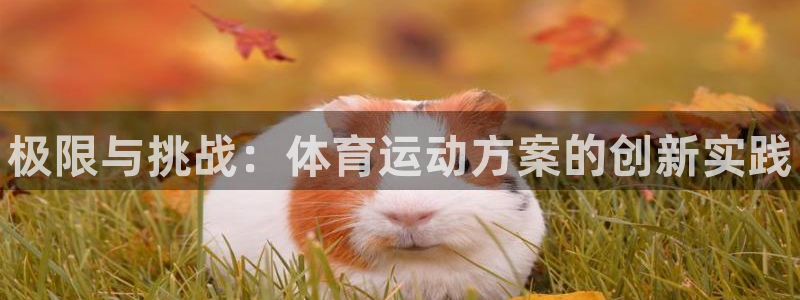 3377体育官方正版app娱乐下载