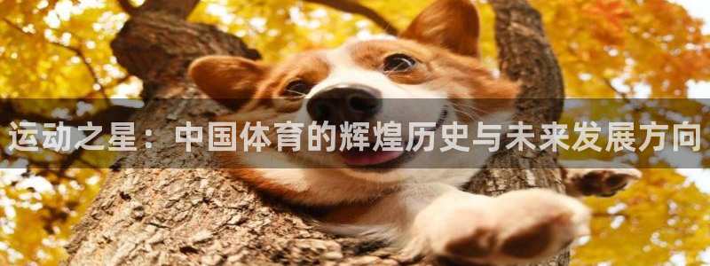 3377体育官网下载招商电话地址：运动之星：中国体育