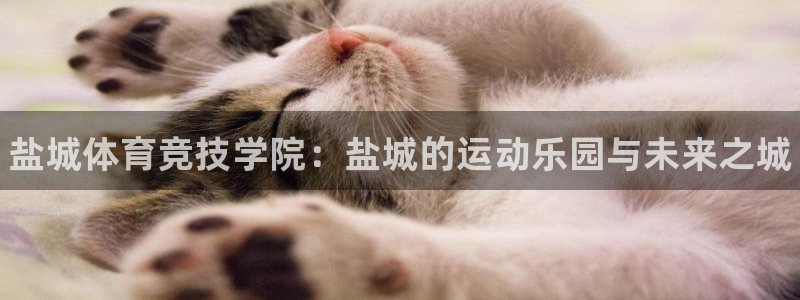 3377体育官方正版app集团E.ON：盐城体育竞技