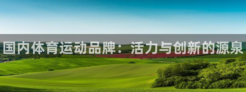 3377体育官网下载注册：国内体育运动品牌：活力与创