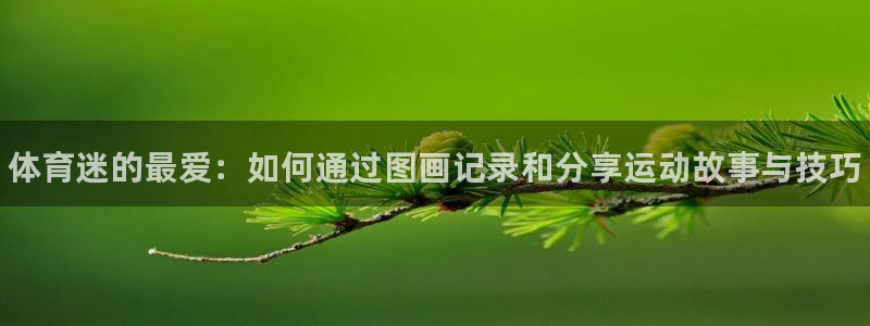 3377体育官网下载注册：体育迷的最爱：如何通过图画