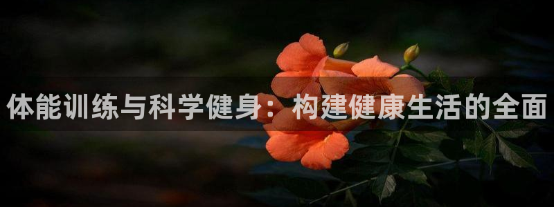 3377体育官方正版app娱乐是那个系列的台子：体能训练与科
