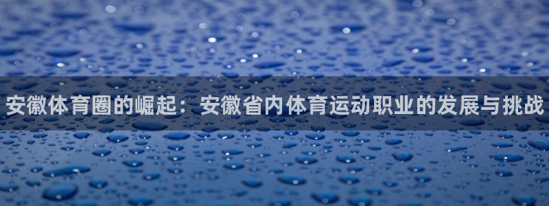 3377体育官网下载是干嘛的公司：安徽体育圈的崛起：安徽省内