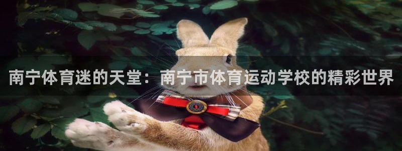 3377体育官网下载平台注册流程图：南宁体育迷的天堂：南宁市