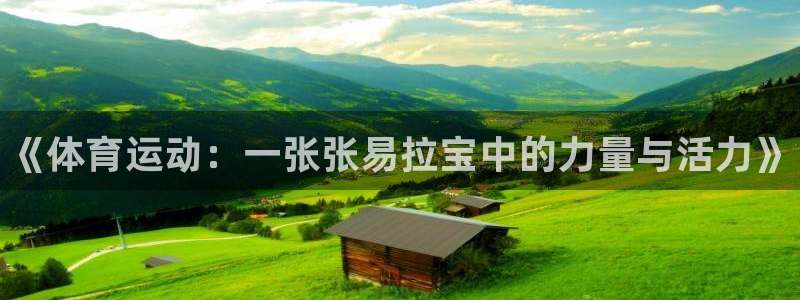 3377体育官方正版app娱乐代理怎么样：《体育运动