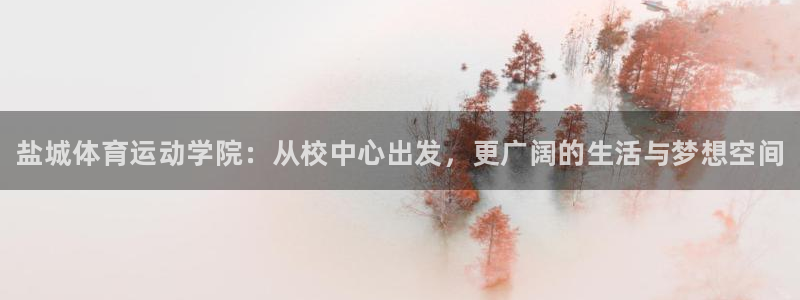 3377体育官方正版app代理：盐城体育运动学院：从校中心出
