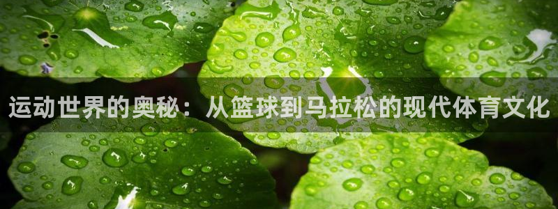 3377体育官网下载招商电话地址：运动世界的奥秘：从