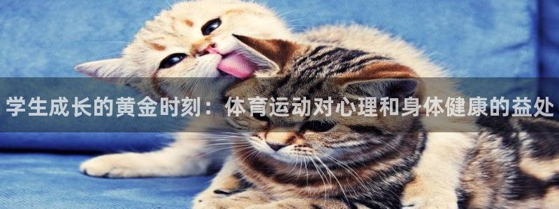 3377体育官网下载招商电话是多少：学生成长的黄金时