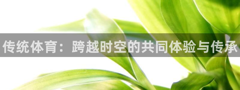 海南3377体育官网下载发展怎么样：传统体育：跨越时空的共同