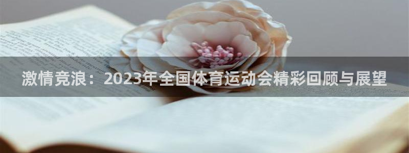 3377体育官方正版app开户：激情竞浪：2023年