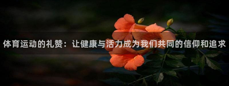 海南3377体育官网下载：体育运动的礼赞：让健康与活