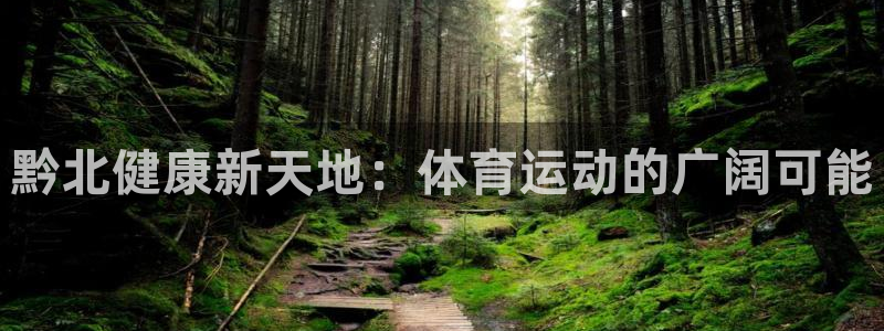 3377体育官方正版app集团E.ON：黔北健康新天