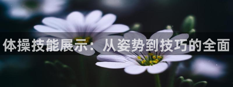 3377体育官网下载招商电话地址是多少：体操技能展示