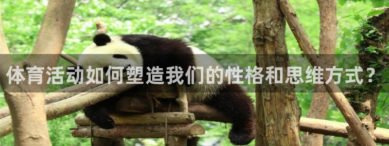 3377体育官方正版app代理：体育活动如何塑造我们