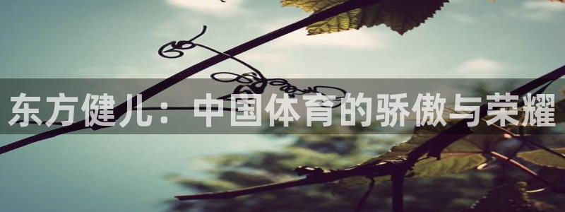 3377体育官方集团官网