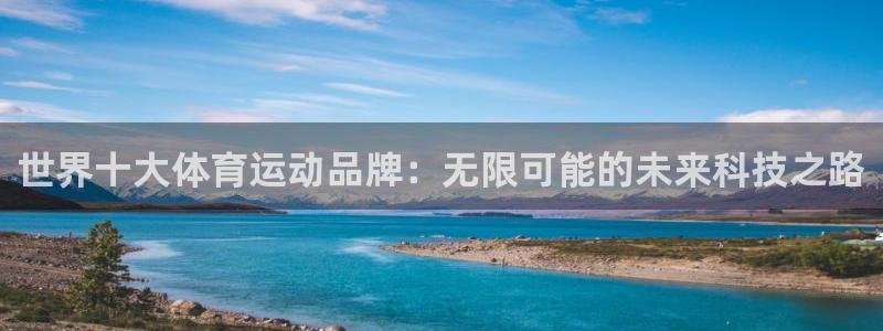 3377体育官方正版app集团E.ON：世界十大体育运动品牌