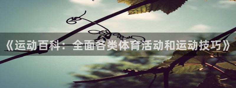 3377体育提款容易通过吗