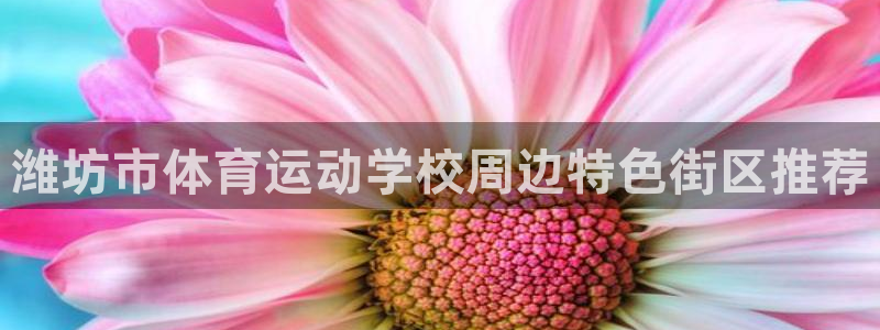 3377体育官网址：潍坊市体育运动学