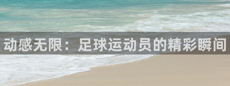3377体育最厉害三个平台：动感无限