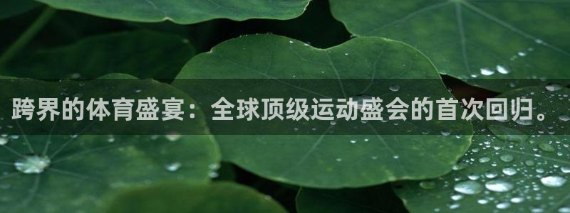3377体育不出款