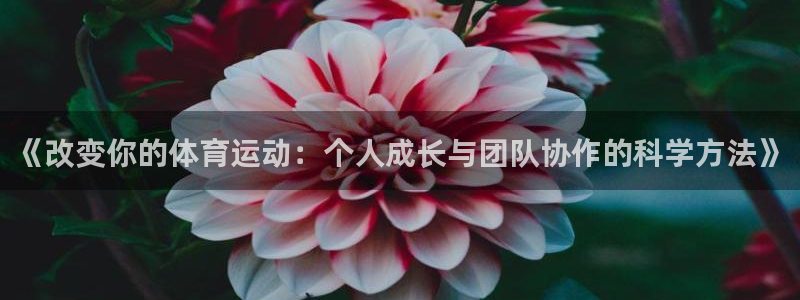 3377体育退款：《改变你的体育运动：个人成长与团队协作的科