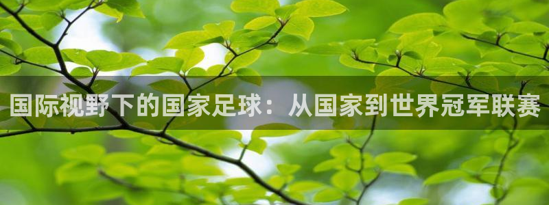  3377体育有风险吗：国际视野下的国家足球：从国家到世界冠军