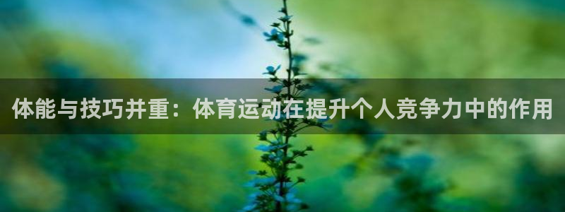 3377体育现在叫什么：体能与技巧并重：体育运动在提升个人竞