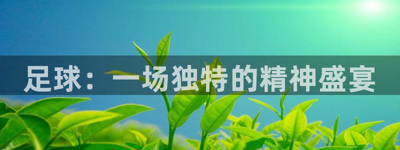 3377体育属于国家打击范围吗：足球：一场独特的精神盛宴