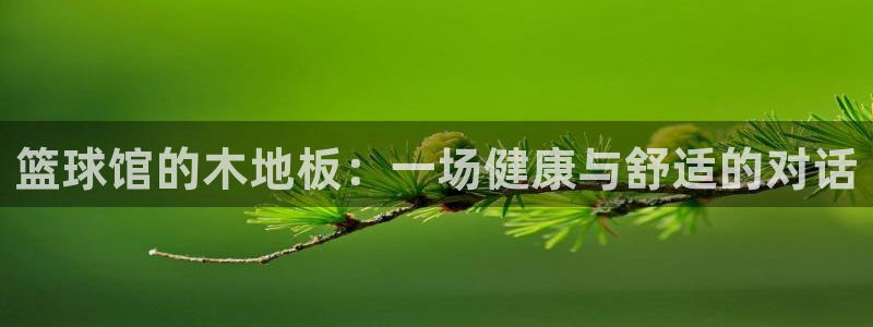 3377体育唯一官方网站：篮球馆的木