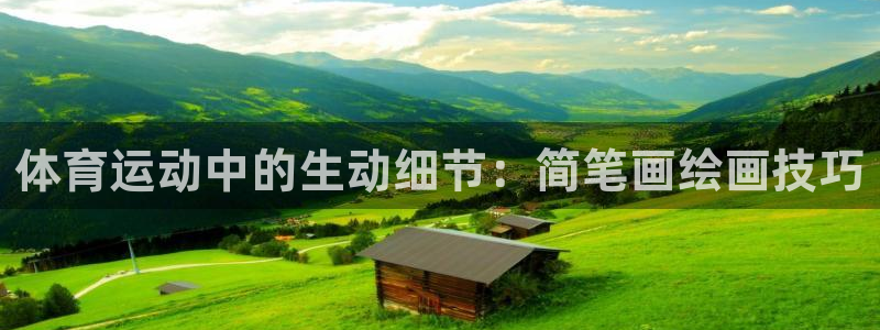 3377体育十大必吃榜：体育运动中的
