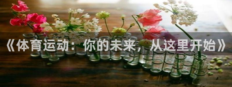 3377体育是诈骗吗：《体育运动：你的未来，从这里开始》