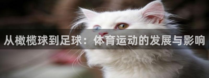  3377体育app官网下载地址：从橄榄球到足球：体育运动的发