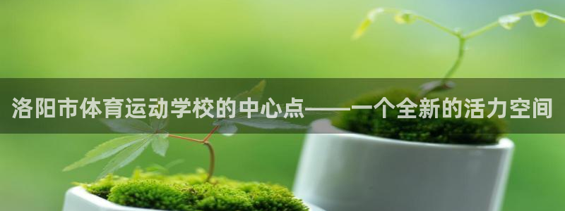 3377体育属于国家打击范围吗：洛阳