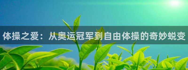 3377体育提款容易通过吗：体操之爱
