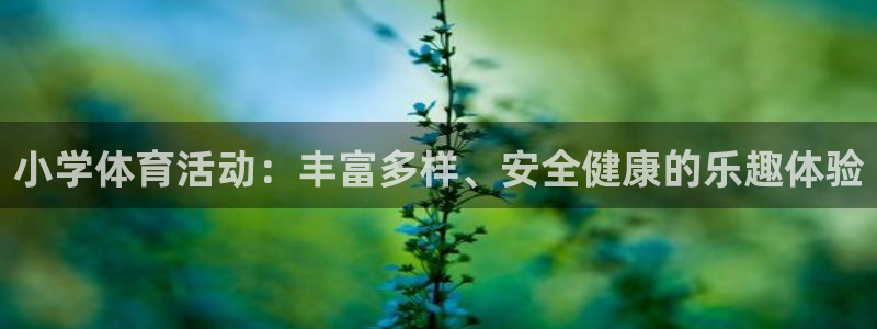 3377体育是哪的：小学体育活动：丰