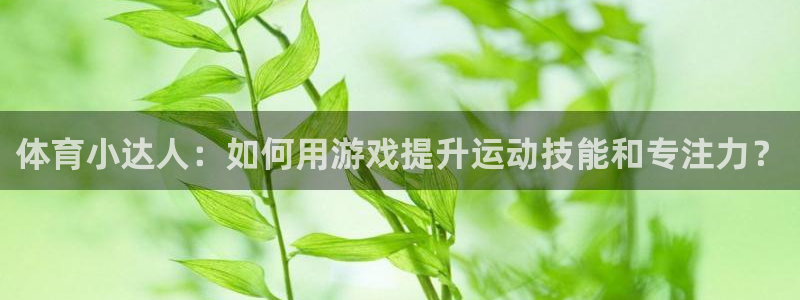 3377体育是哪的：体育小达人：如何