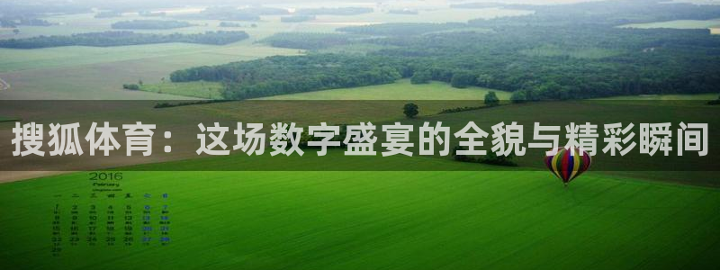 球友体育直播：搜狐体育：这场数字盛宴的全貌与精彩瞬间
