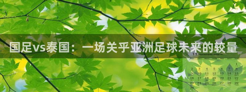 球友体育直播：国足vs泰国：一场关乎亚洲足球未来的较量