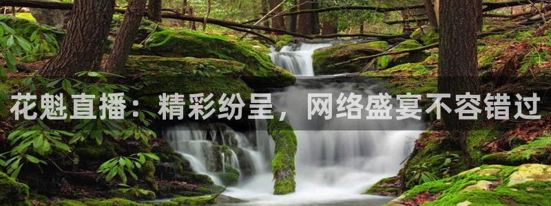 nba直播球友：花魁直播：精彩纷呈，网络盛宴不容错过