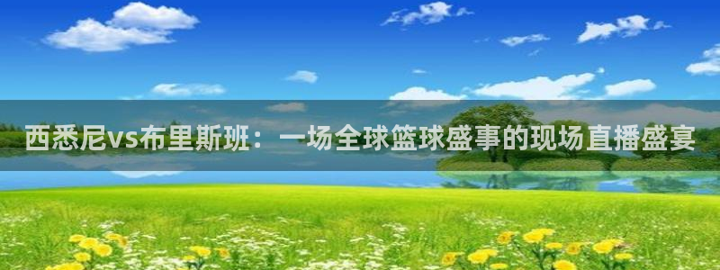 球友直播nba在线直播：西悉尼vs布里斯班：一场全球篮球盛事的现场直播盛宴
