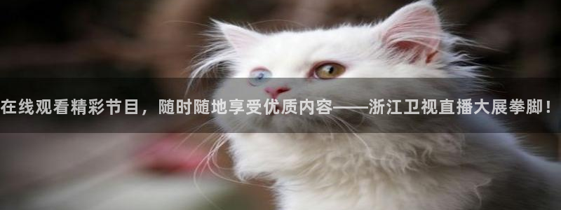 球友体育在线直播观看：在线观看精彩节目，随时随地享受优质内容——浙江卫视直播大展拳脚！