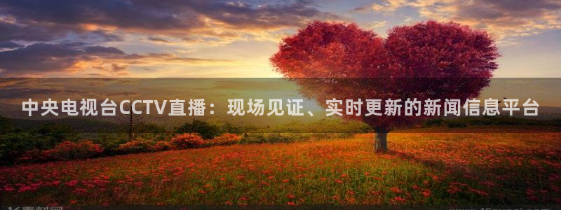 球友体育app免费看球：中央电视台CCTV直播：现场见证、实时更新的新闻信息平台